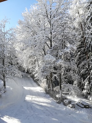 le chemin sous la neige